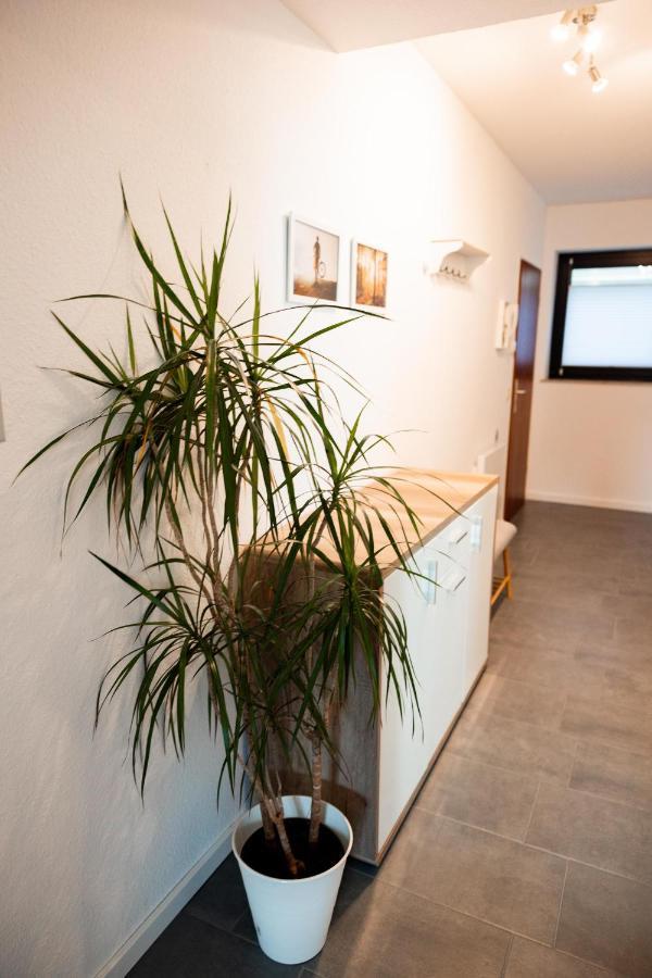 Ferienwohnung Am See - Sport Und Erholung - Wlan วินเทอร์แบร์ก ภายนอก รูปภาพ